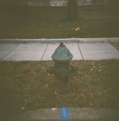Image of a green fire hydrant 