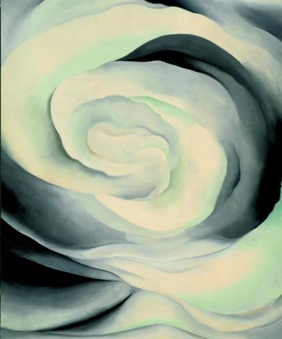 Abstraction White Rose