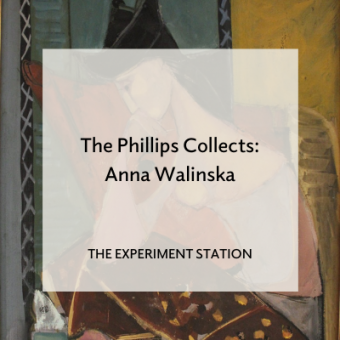 Promo for blog post The Phillips Collects: Anna Walinska