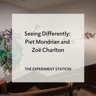 Blog promo for Seeing Differently: Piet Mondrian and Zoe Charlton