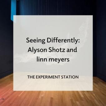 Promo for Seeing Differently: Alyson Shotz and linn meyers blog