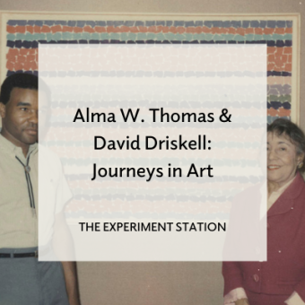 Promo for Alma W. Thomas & David Driskell: Journeys in Art blog