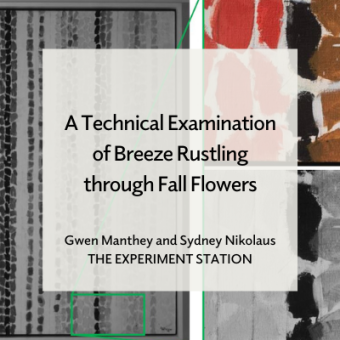 Promo for A Technical Examination of Breeze Rustling through Fall Flowers blog