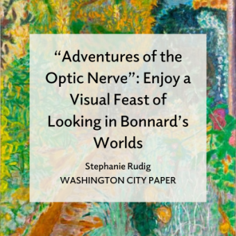An abstract painting of a garden with text overlay that reads "Adventures of the Optic Nerve: Enjoy a Visual Feast of Looking in Bonnard's Worlds, Stephanie Rudig, Washington City Paper"