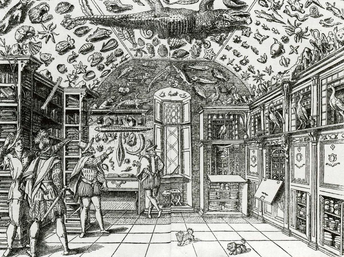 Ferrante Imperato, Room of Curiosities (Wunderkammer), 1559, Naples, Italy