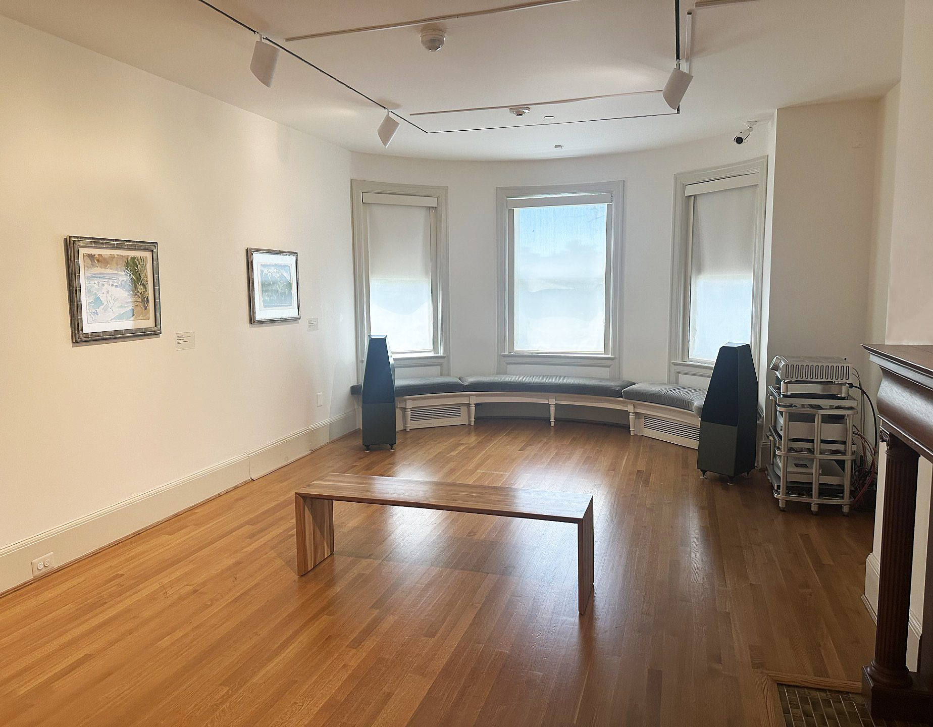 JS Audio speakers with bay windows