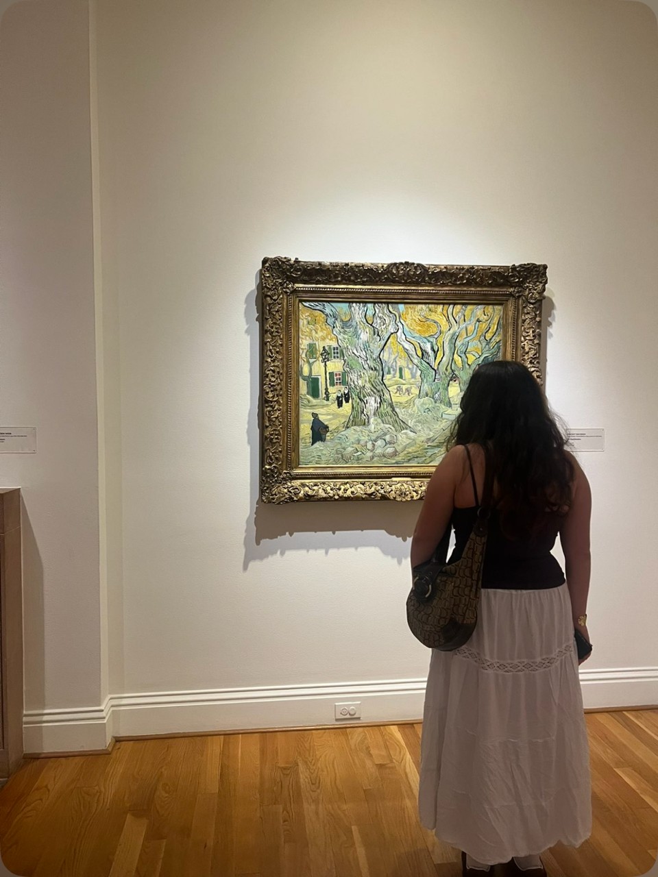 Someone looking at a framed painting in a museum