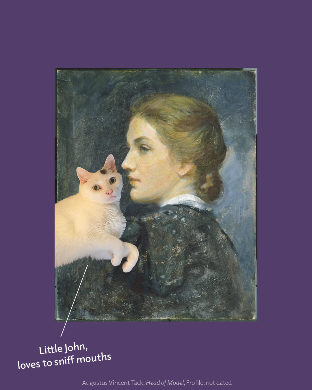 Cats photoshopped into Phillips artwork