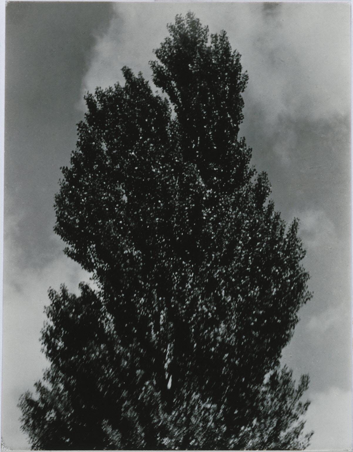 equivalent-the-phillips-collection