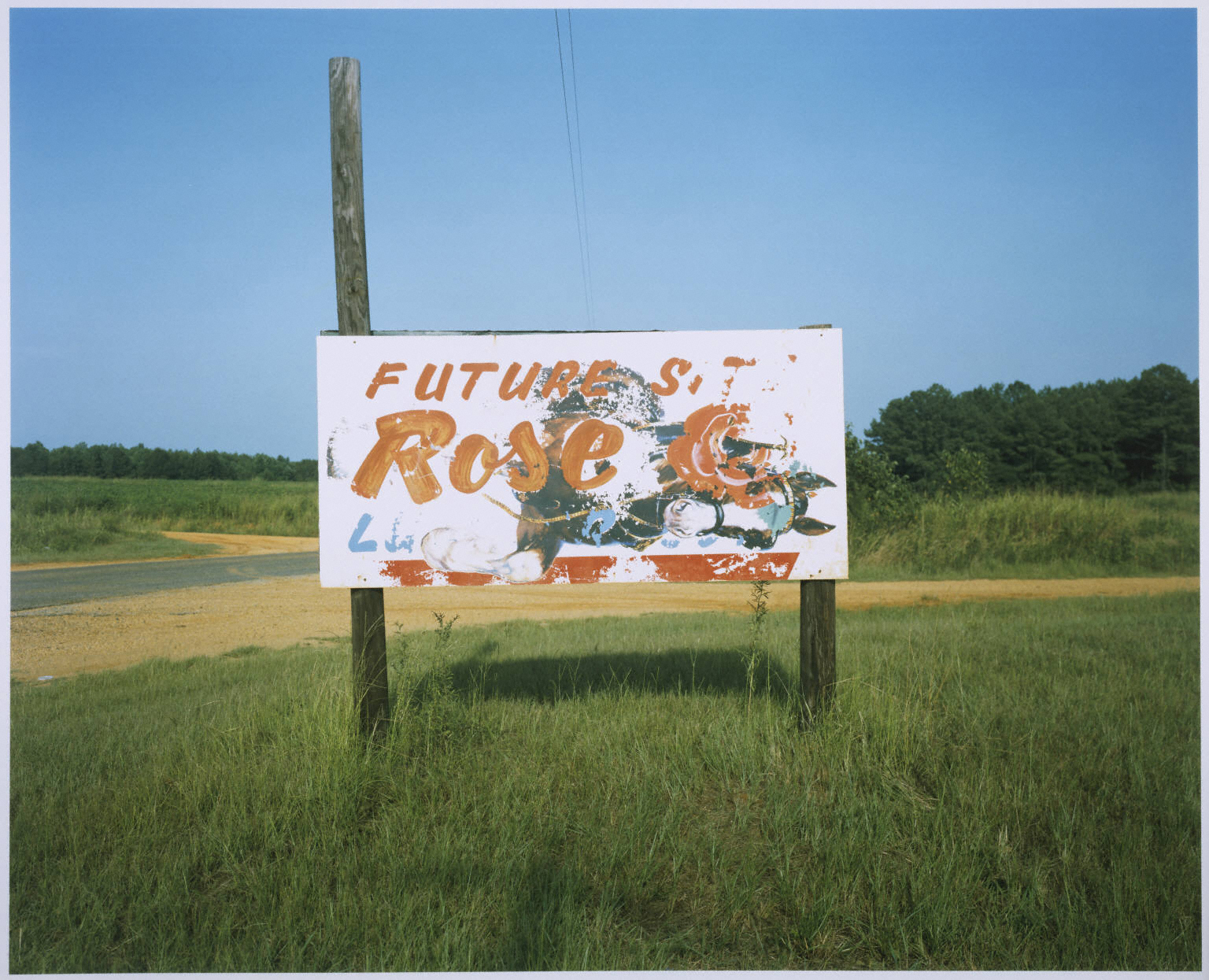 Sign, near Greensboro, Alabama (Future Rose) The Phillips Collection