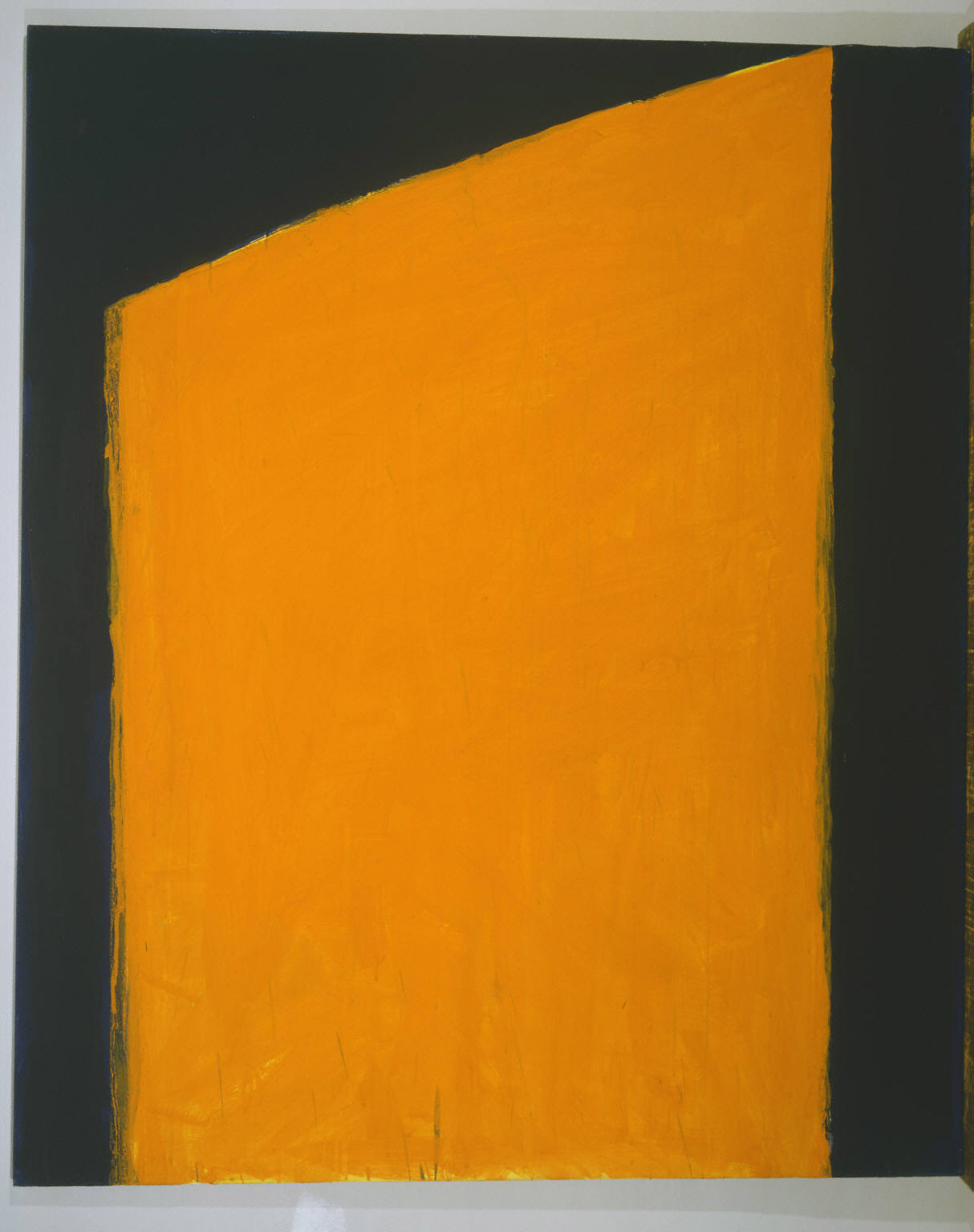 Straight Flush The Phillips Collection