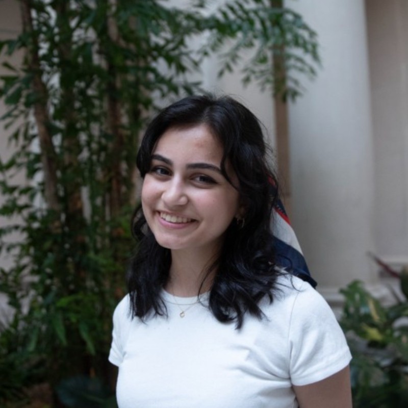 Meet Our 2023 Summer Interns | The Phillips Collection