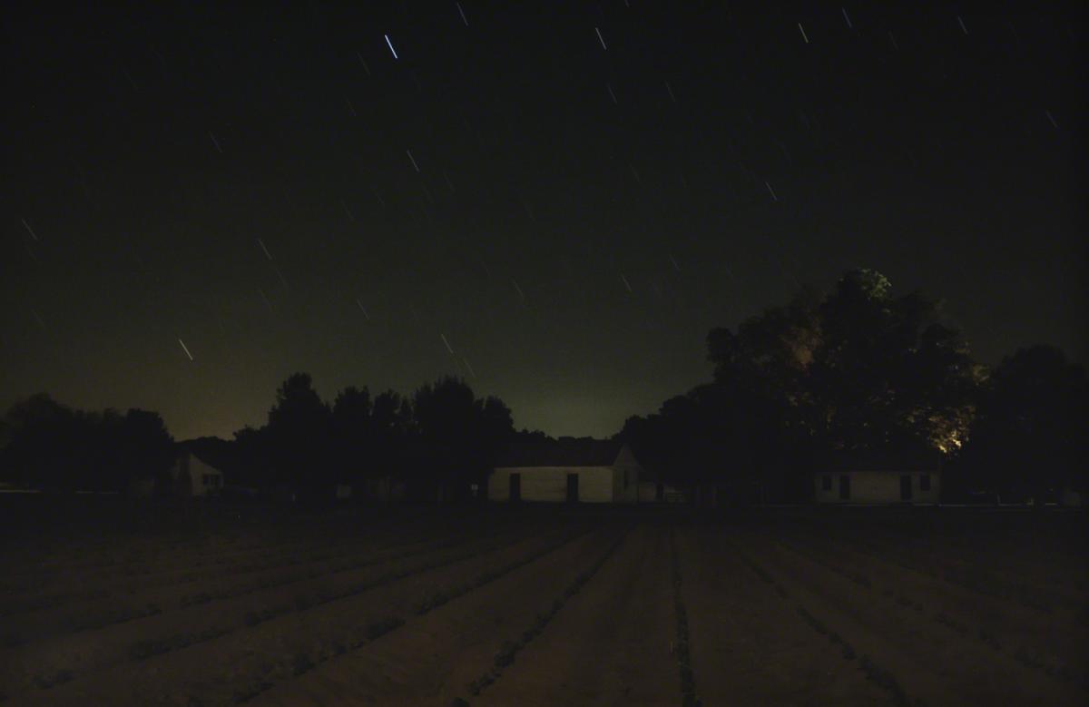 Stopover, Frogmore Plantation, Concordia Parish, Louisiana