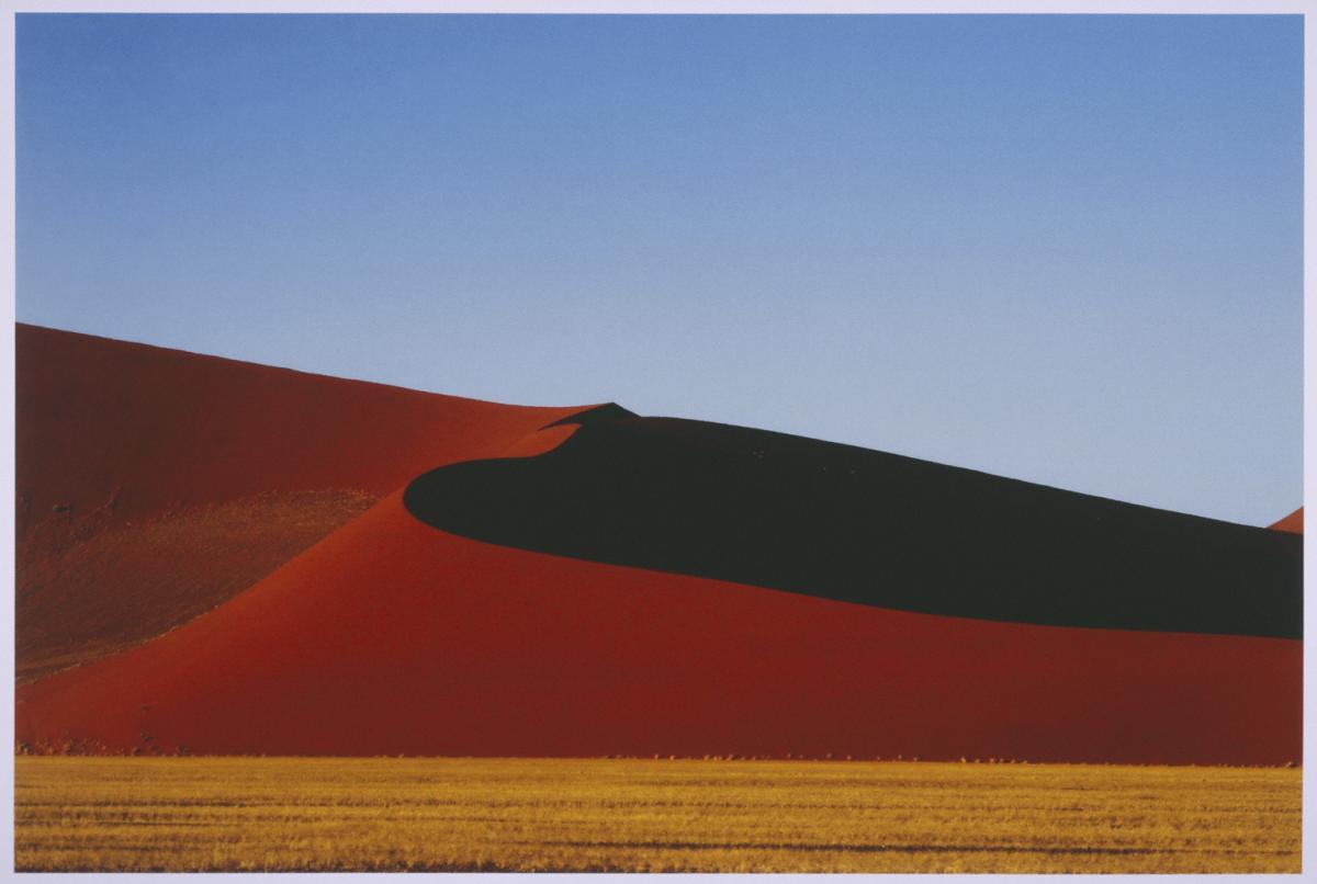 A photo of a russet red sand dune, startling against a blue sky 
