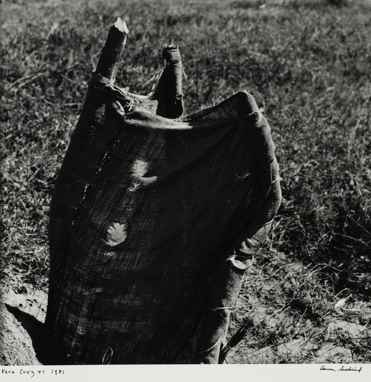 Aaron Siskind, Veracruz 47, 1981.