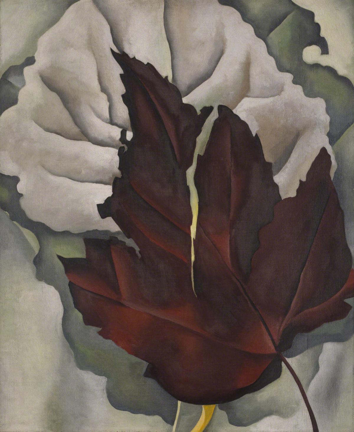 Georgia O'Keeffe, Pattern of Leaves, 1923.