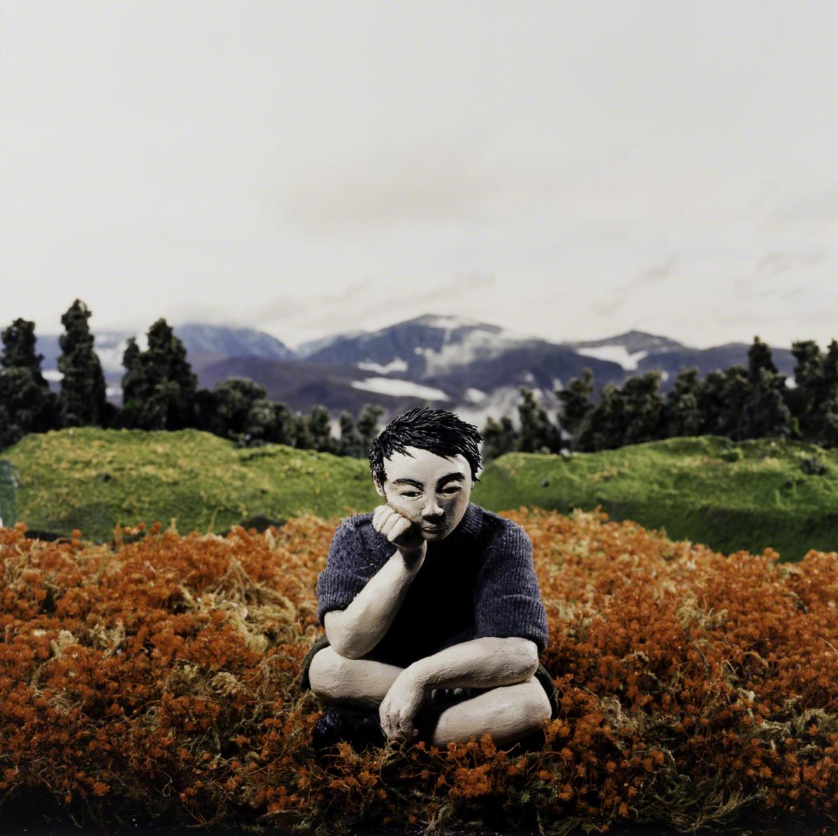 Sarah Anne Johnson, Boy in Field (Tree Planting project), 2002.