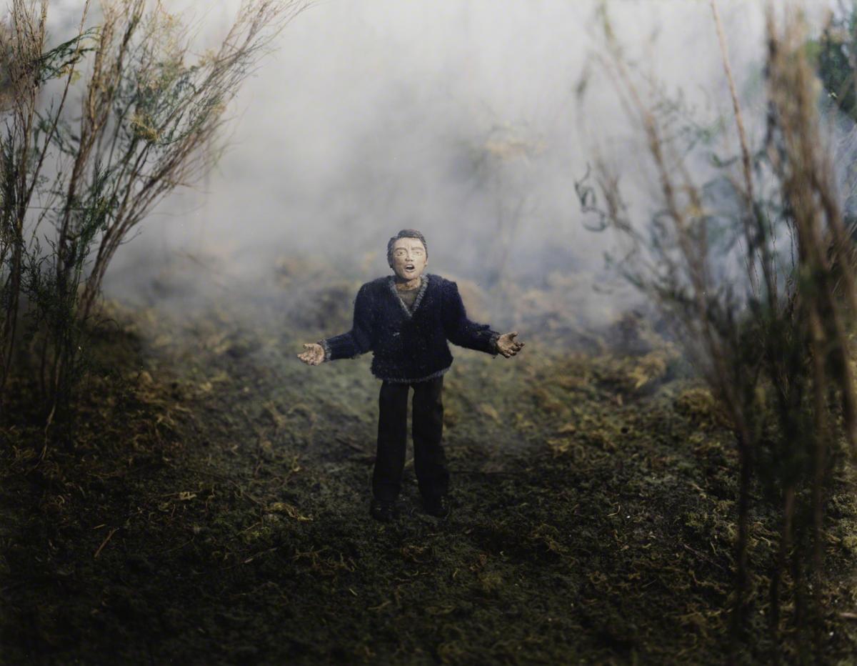 Sarah Anne Johnson, Lost in Woods (Tree Planting project), 2002.