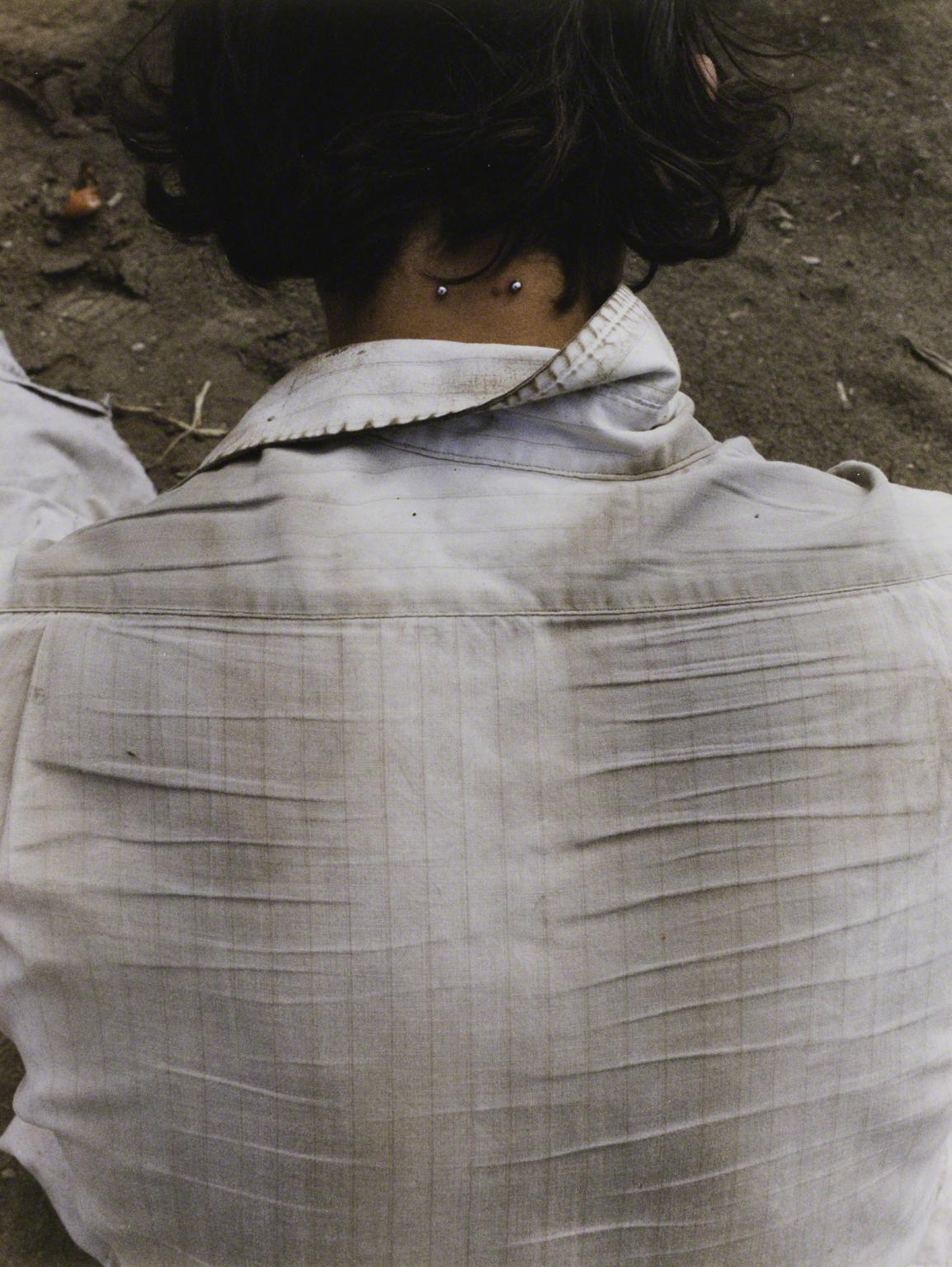 Sarah Anne Johnson, Neck Ring (Tree Planting project), 2004.