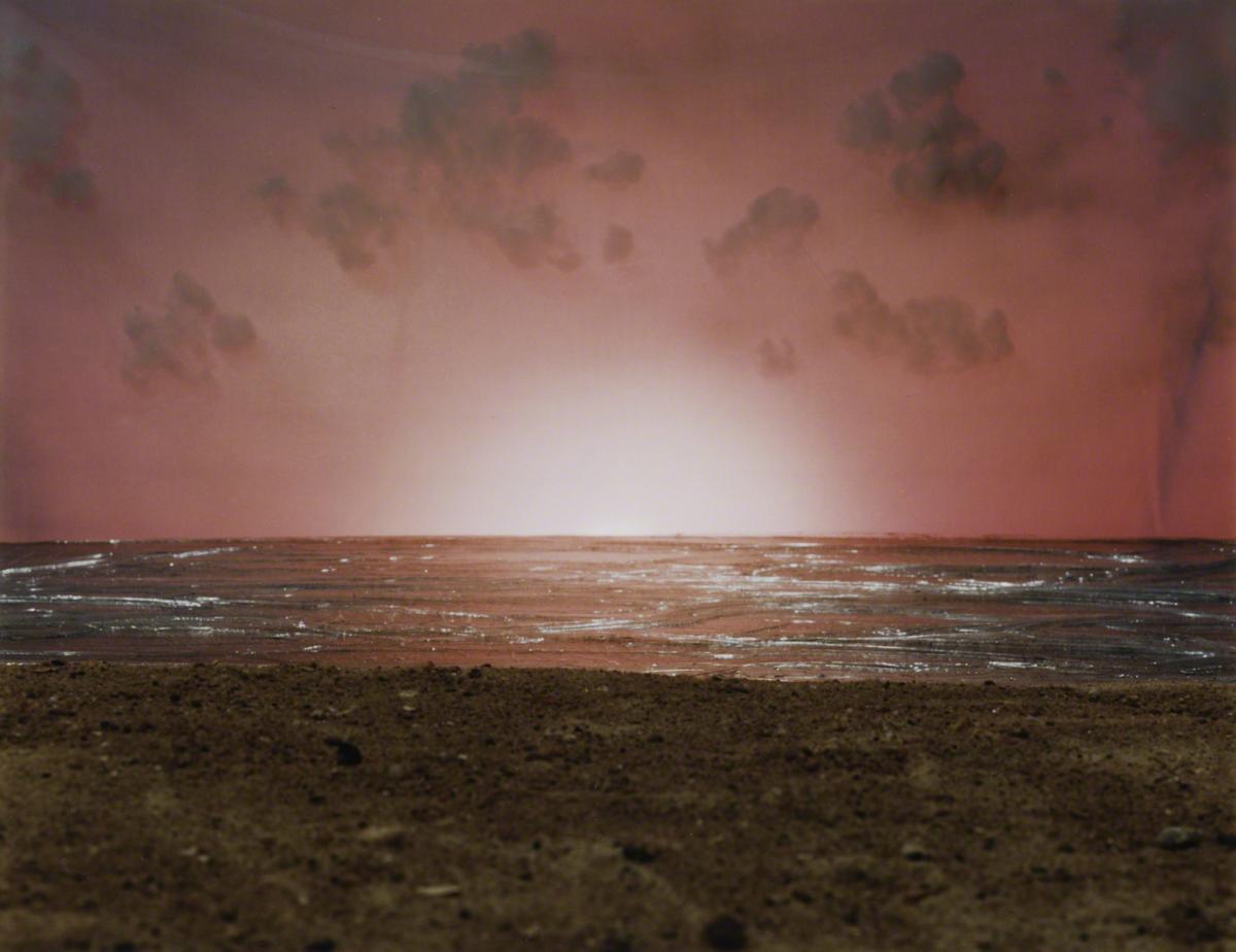 Sarah Anne Johnson, Pink Sunset (Tree Planting project), 2003.