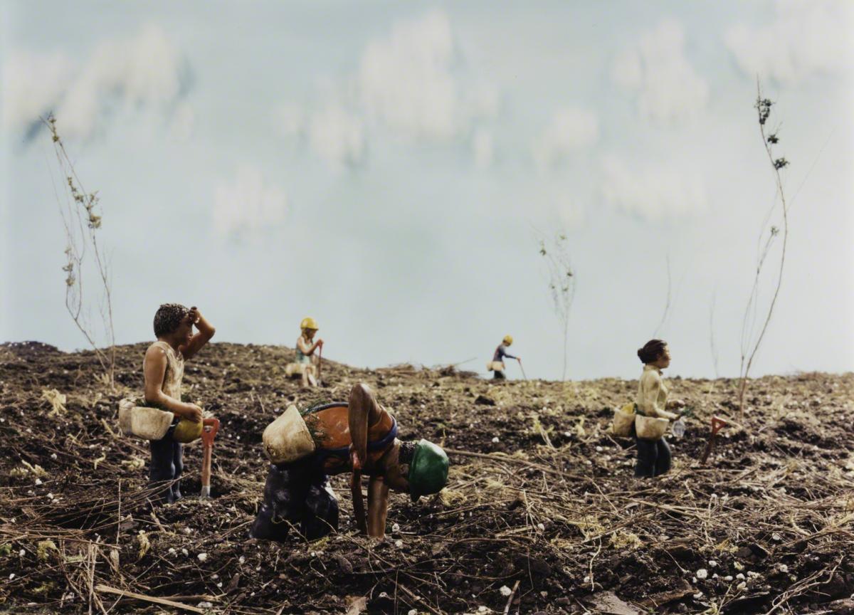 Sarah Anne Johnson, Planting Trees (Tree Planting project), 2003.