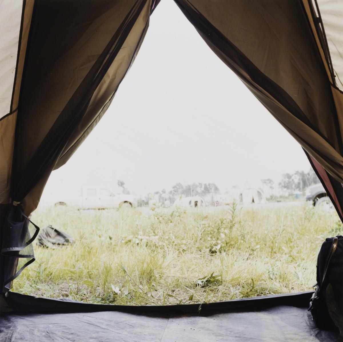 Sarah Anne Johnson, Tent Curtains (Tree Planting project), 2004.