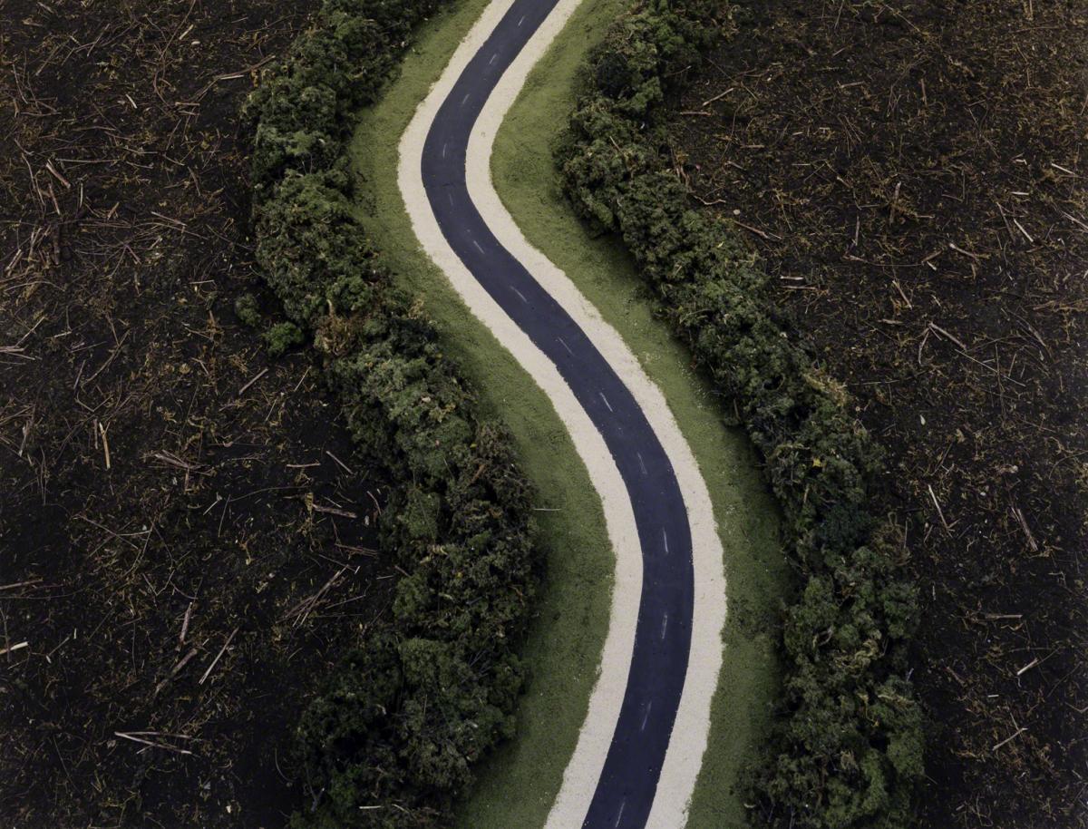 Sarah Anne Johnson, The Buffer Zone (Tree Planting project), 2003.
