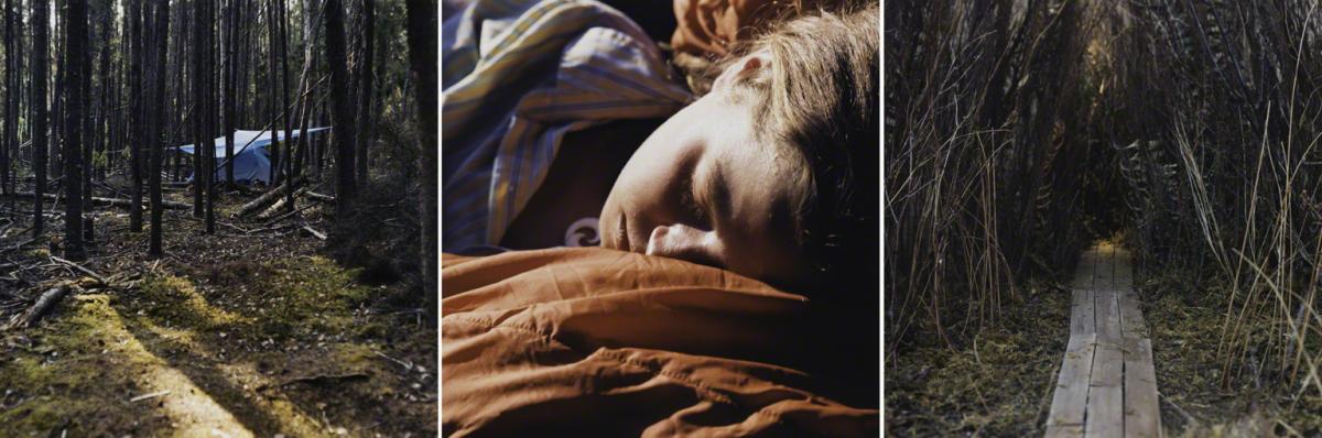 Sarah Anne Johnson, The Path (Tree Planting project), 2003.
