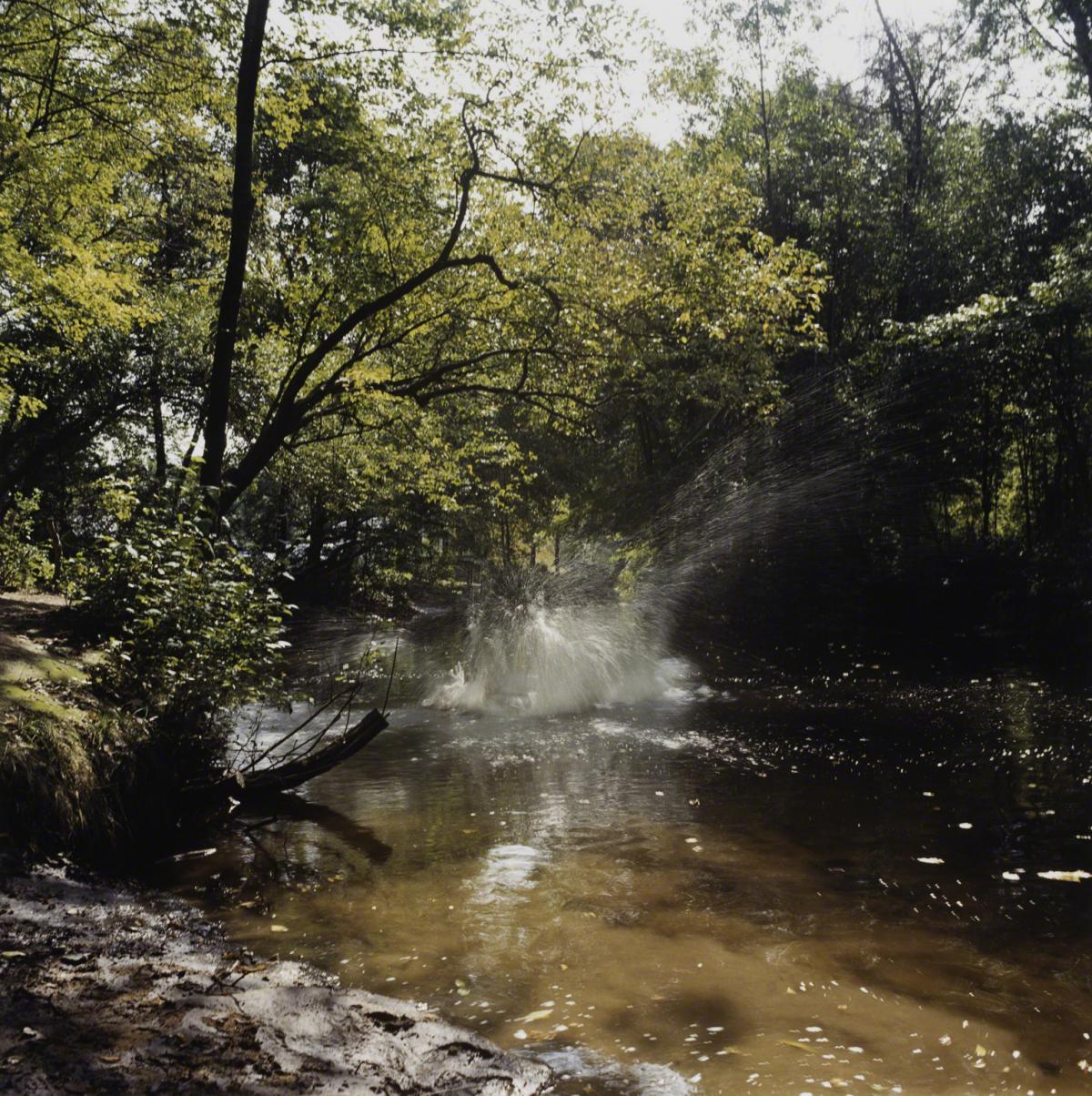 Sarah Anne Johnson, The Splash (Tree Planting project), 2002.