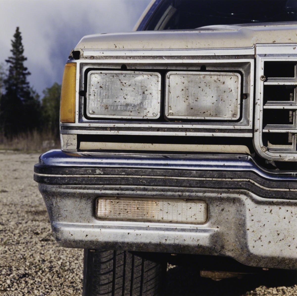 Sarah Anne Johnson, Untitled (Car with Mosquitos) (Tree Planting project), 2003.