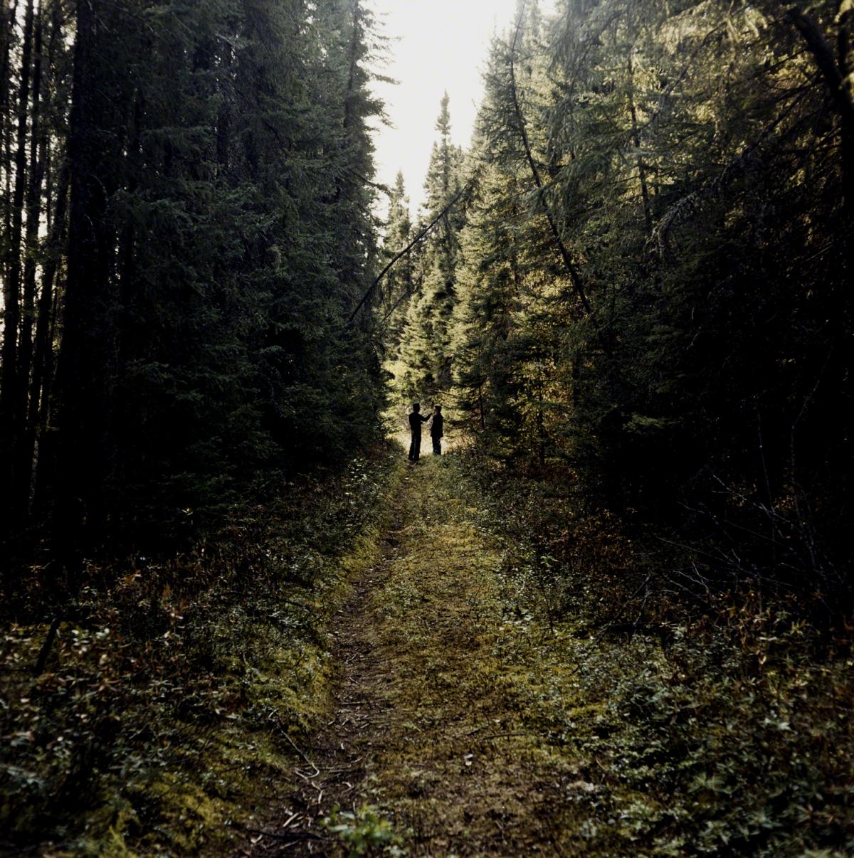 Sarah Anne Johnson, Untitled (People Talking) (Tree Planting project), 2003.