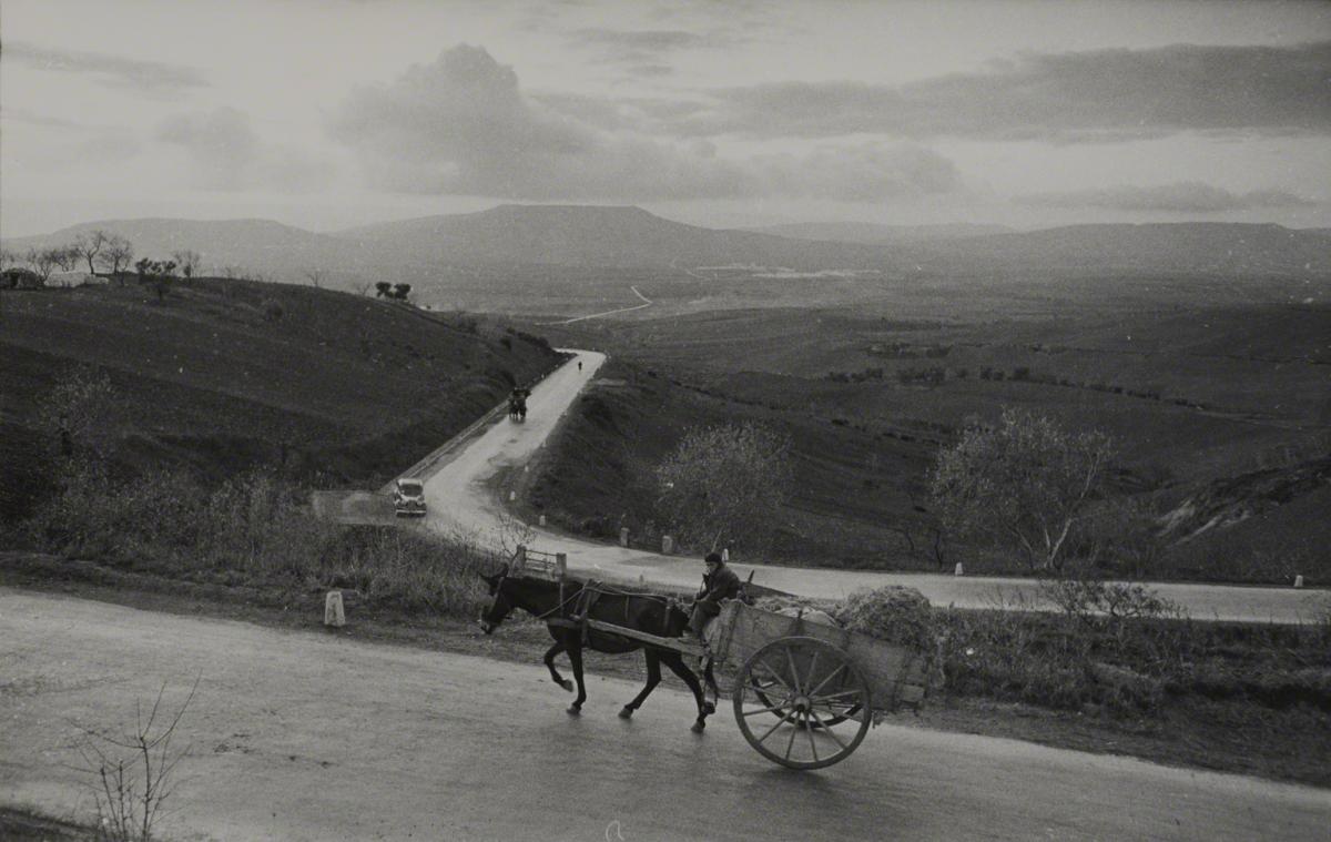 Esther Bubley, Province of Matera, Italy, 1953.