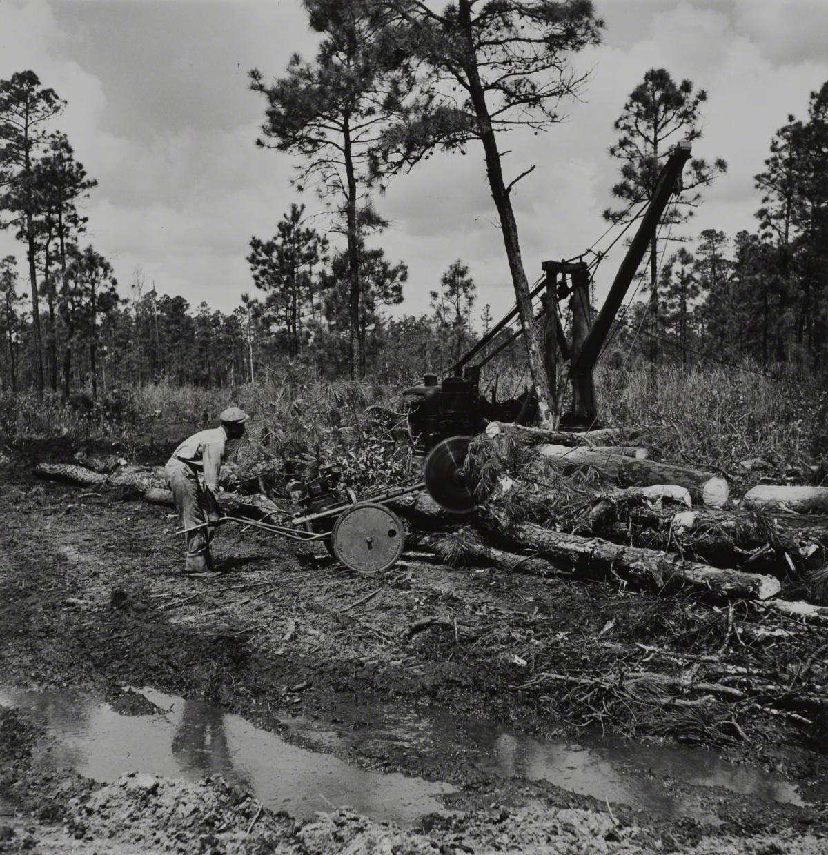 Esther Bubley, Gasoline Motor Driven Saw Is Used To Trim Newly Cut Logs for Loading onto a Truck, Near Washington, NC, 1946.