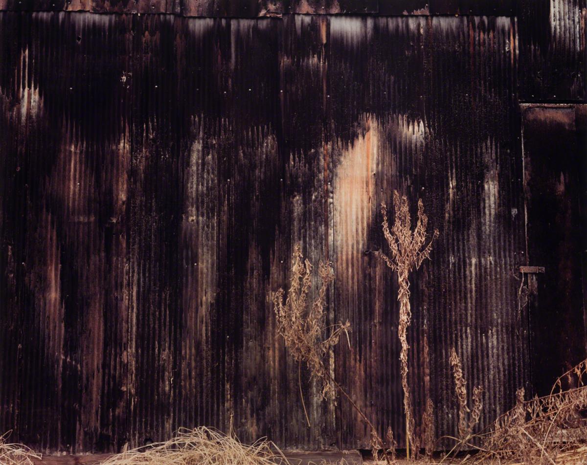 William Christenberry, Wall of Black Building, Newbern, Alabama, 1991.
