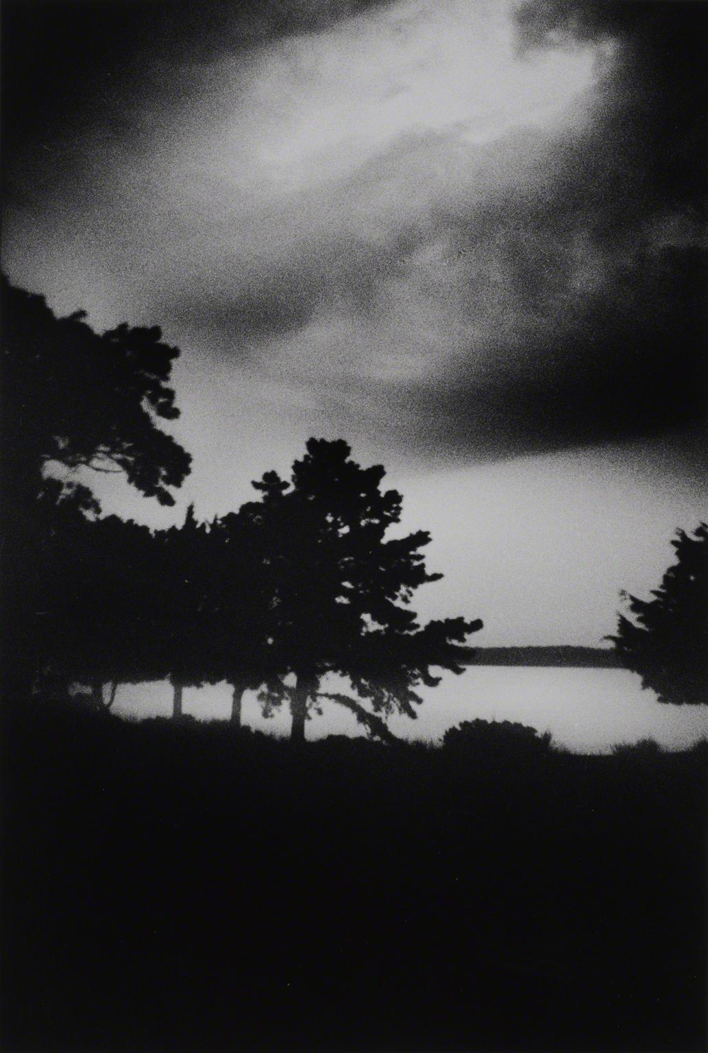 Ralph Gibson, Untitled, 2011.