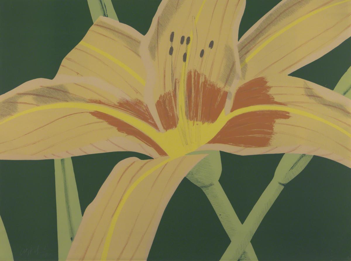 Alex Katz, Day Lily II, 1969.