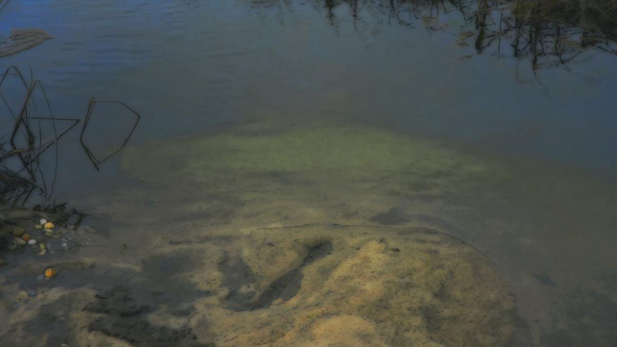 video still of a shallow murky creek
