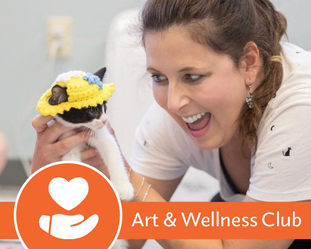 Beth A. Wolfe holding a cat for Art & Wellness Club promo image