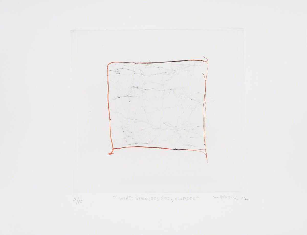Leo Rabkin, Wire: Stainless Steel, Copper, 2012.