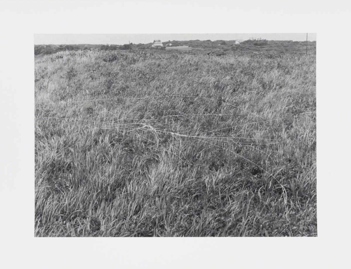Edward Shalala, Untitled, 2012.