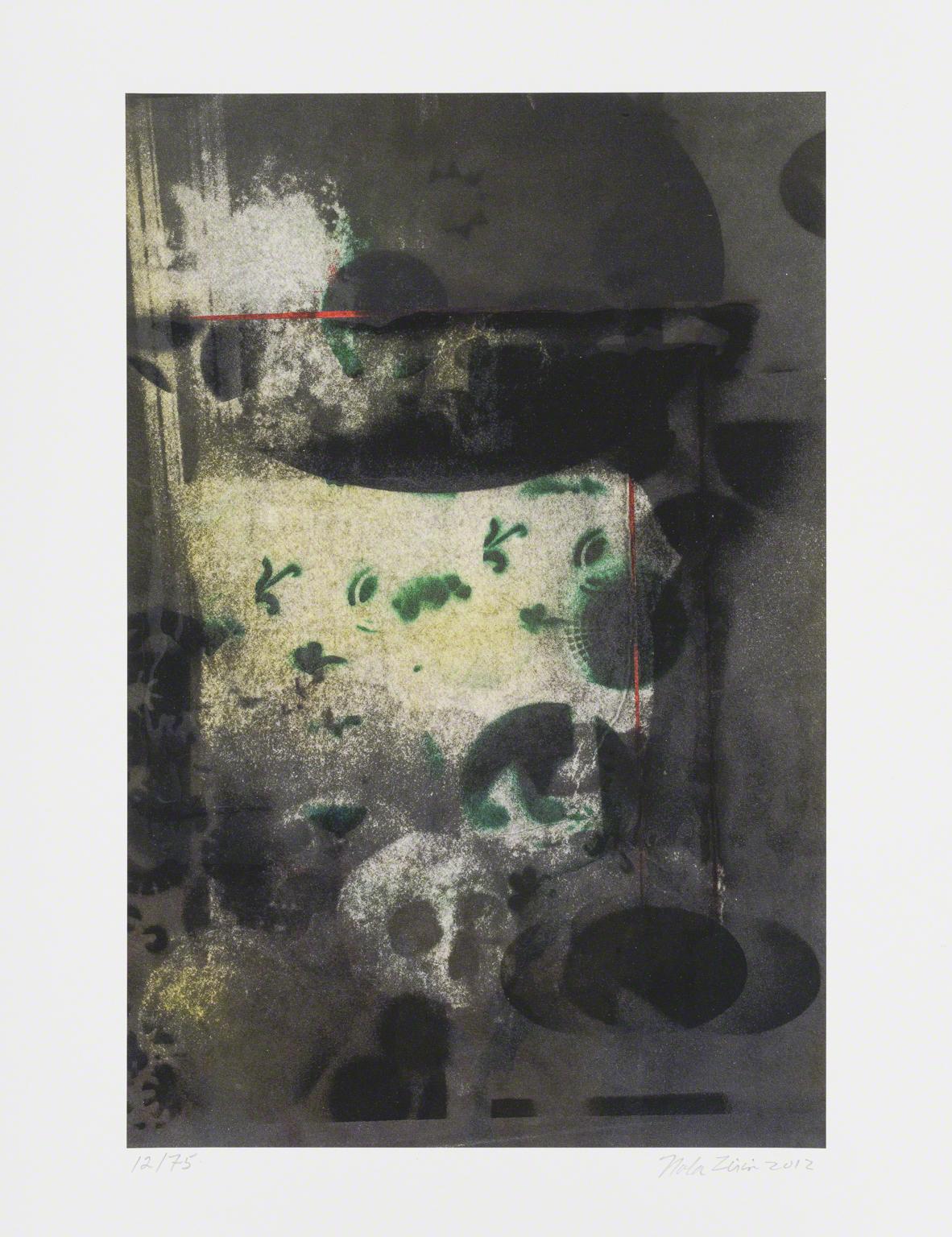 Nola Zirin, Untitled, 2012.