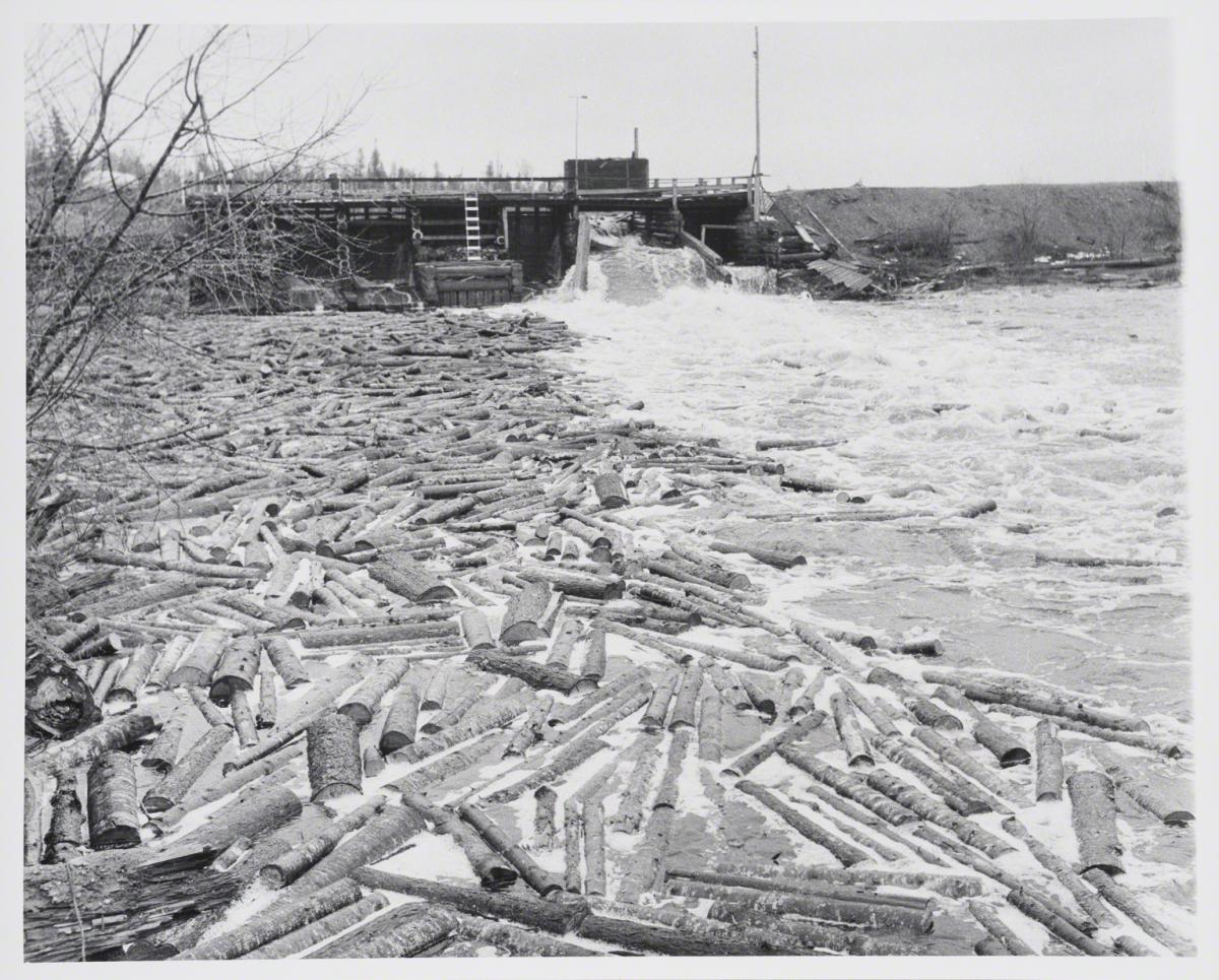 Berenice Abbott, Lumbering, Maine, 1968.
