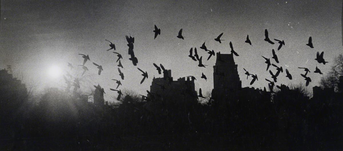 Esther Bubley, Central Park, New York, NY, 1950.