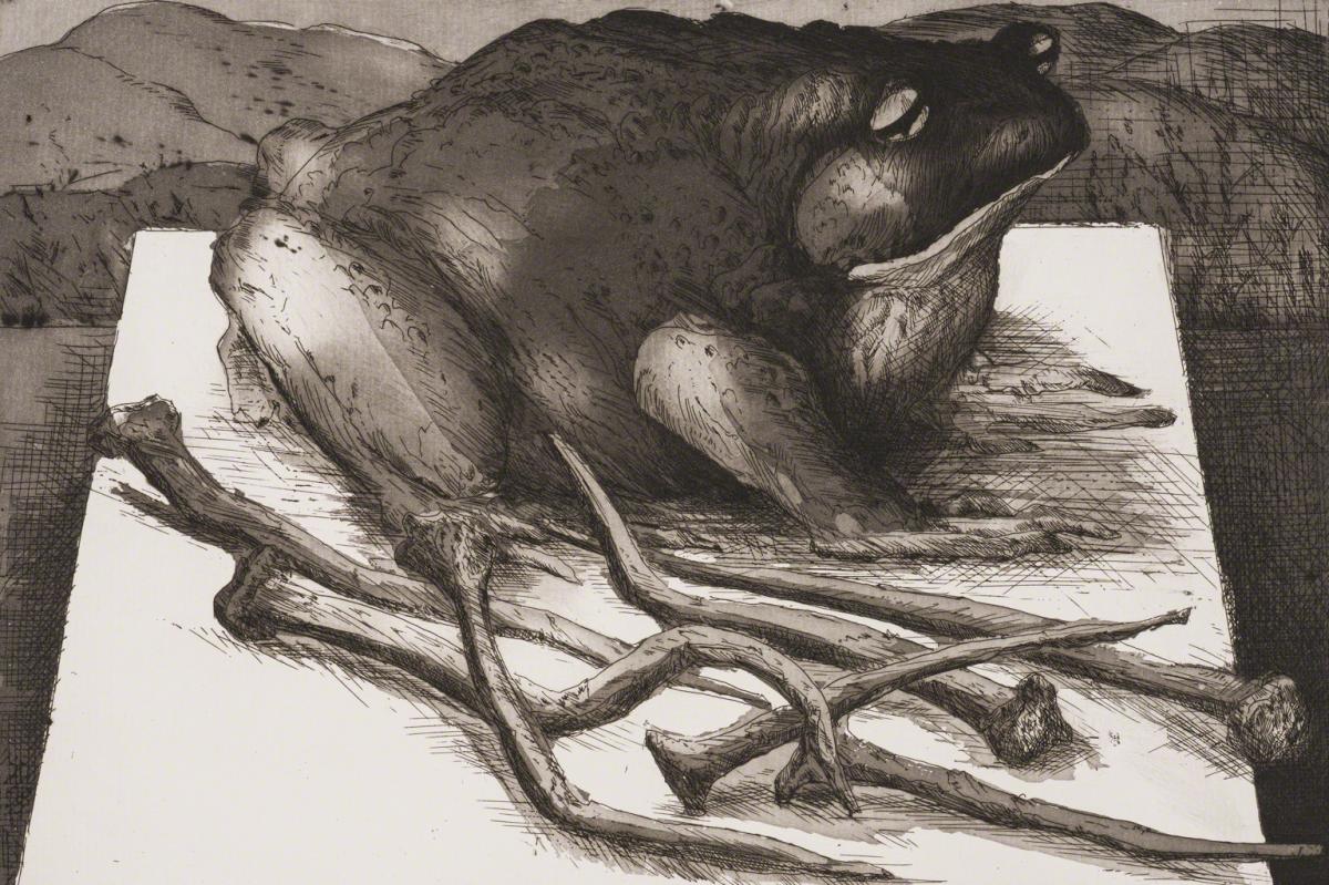 Günter Grass, Toad with Nails, 1991.