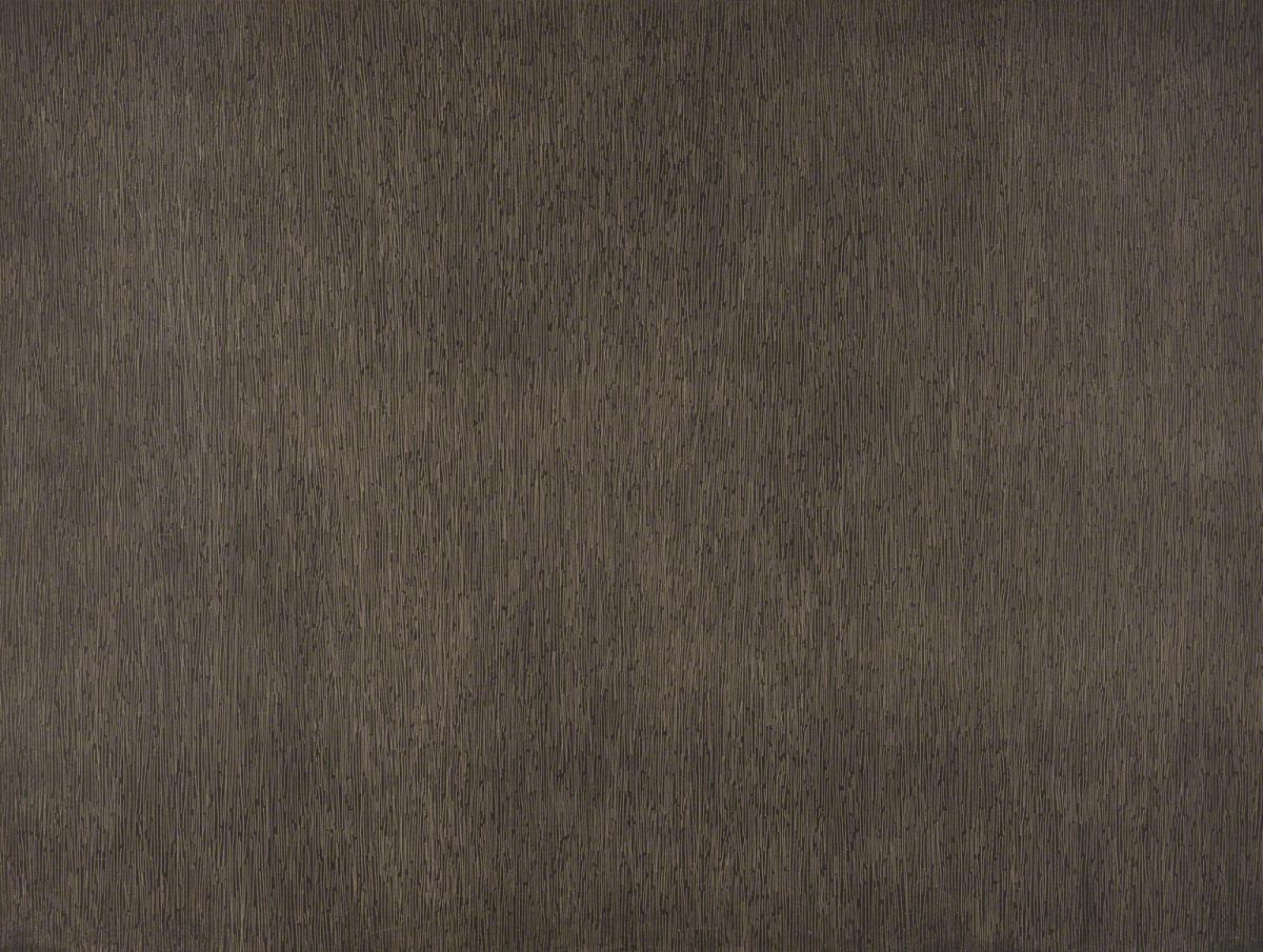 Sol Lewitt, Black and White Lines, Vertical, Not Touching, 1970.