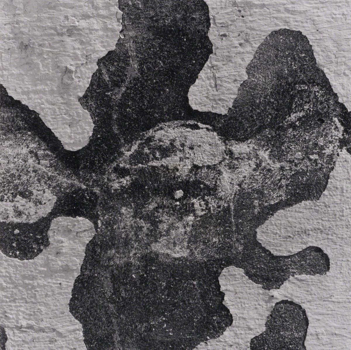 Aaron Siskind, Veracruz 66, 1981.