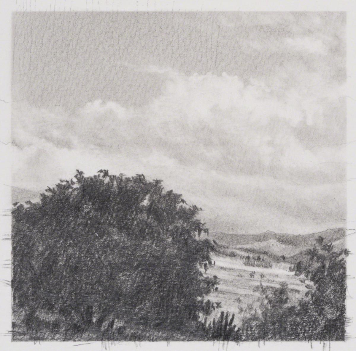 Frank Mujica Chávez, Untitled from "Diario" series, 2012.