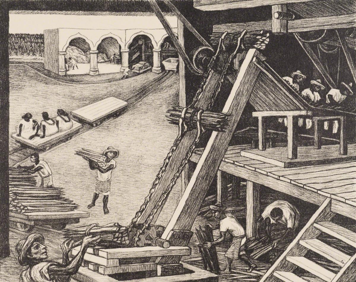 Alfredo Zalce, Henequen Plant, Yucatán (from Mexico Art - A Portfolio of Mexican People and Places), 1946.