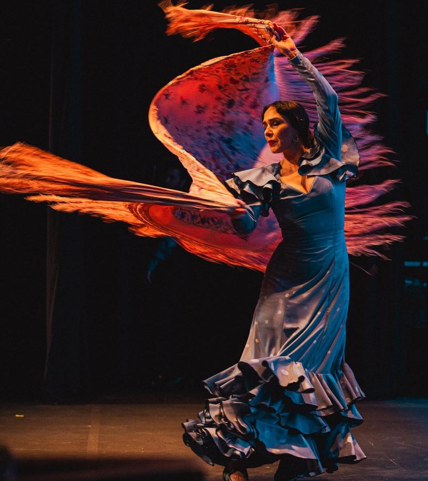 Flamenco Vivo performance