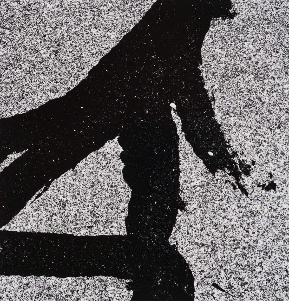 Aaron Siskind, Westport 88, 1988, printed later.